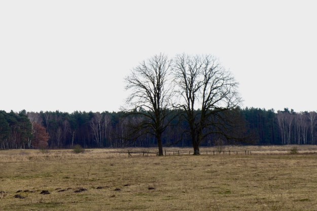 JJ6wlCcKQZanlKKSj6v5yQ_thumb_1e306