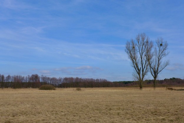 xJFBjyC9Qq2Kn9Zby7%kCQ_thumb_1e302